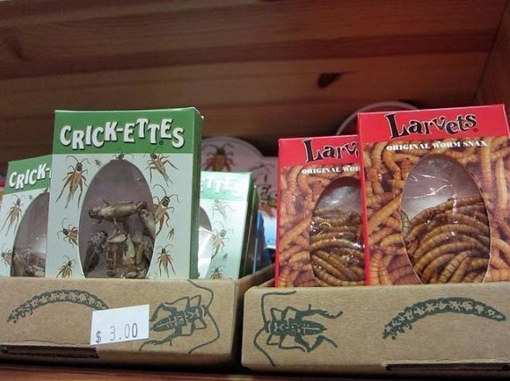 أغرب 15 وظيفة في العالم - صور