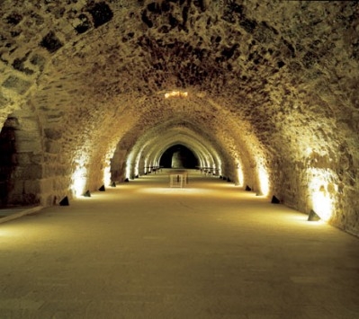 لماذا اختيرت قلعة الكرك للعملية ؟