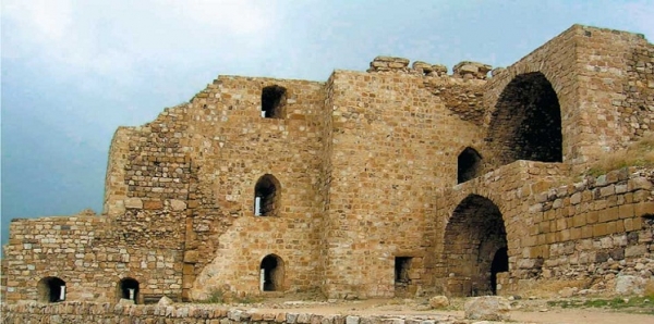 لماذا اختيرت قلعة الكرك للعملية ؟