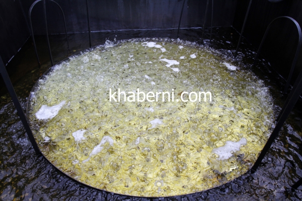 شاهدوا صور أكبر قرص فلافل